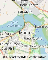 Amministrazioni Immobiliari,46100Mantova