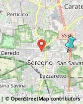 Palestre e Centri Fitness,20831Monza e Brianza