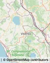 Via L. De Dominicis, 71,01028Orte