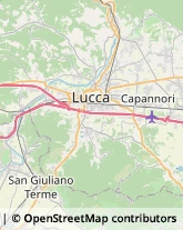 V. Sarzanese, 1104,55100Lucca