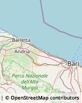 Danza - Articoli,70054Bari