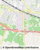 Via Bruxelles, 11,76011Bisceglie