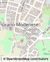 Via Vittorio Veneto, 142,41042Fiorano Modenese