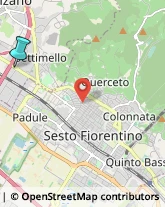 Locali, Birrerie e Pub,50041Firenze