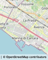 Frutta e Verdura - Dettaglio,54033Massa-Carrara