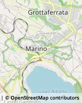 Viale Primo Maggio, 63,00046Grottaferrata