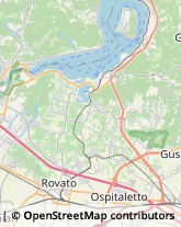 Pollame, Conigli e Selvaggina - Dettaglio,25049Brescia