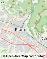 Imprese di Pulizia,59100Prato