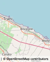 Via Istria, 35,70059Trani