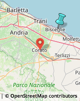 Articoli Sportivi - Dettaglio,76011Barletta-Andria-Trani