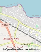 Via Giovanni Bovio, 334,70052Bisceglie