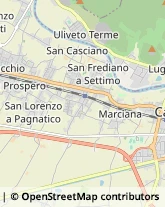 Via Provinciale Vicarese, 60,56010Vicopisano