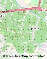 Via di Ramini, 107,51100Pistoia