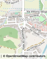 Piazza Cavalca, 1,56010Vicopisano