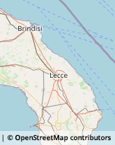 Nettezza Urbana - Servizio,73043Lecce