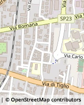 Via Domenico Barsocchini, 61,55100Lucca