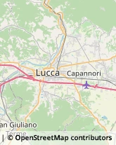 Via Martiri di Liggeri, 10,55057Lucca