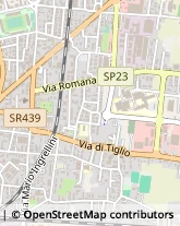 Via Romana, 335,55100Lucca