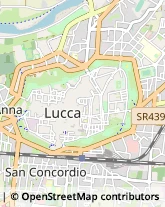 Associazioni Sindacali,55100Lucca