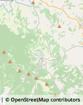 SP 55, 1,53024Montalcino