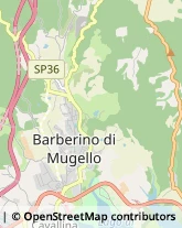 Via Montecuccoli, 13,50031Barberino di Mugello