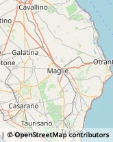 Provincia e Servizi Provinciali,73013Lecce