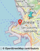 Psichiatria e Neurologia - Medici Specialisti,34133Trieste