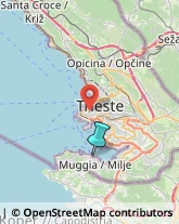 Appartamenti e Residence,34015Trieste