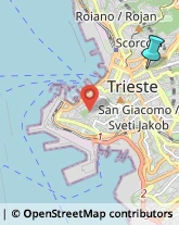 Sartorie,34125Trieste