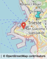 Sartorie,34125Trieste