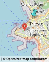 Trasporto Pubblico,34132Trieste