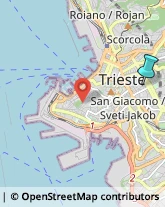 Sartorie,34129Trieste