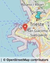 Trasporto Pubblico,34122Trieste