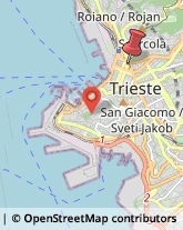 Via Fabio Filzi, 21,34124Trieste