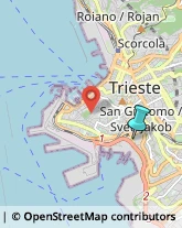 Trasporto Pubblico,34144Trieste