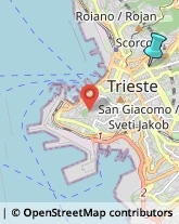 Sartorie,34133Trieste