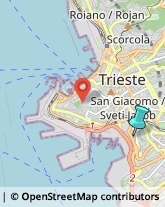 Provincia e Servizi Provinciali,34144Trieste