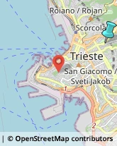 Sartorie,34126Trieste