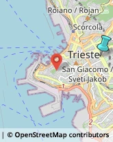 Sartorie,34129Trieste