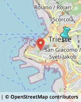 Trasporto Pubblico,34129Trieste