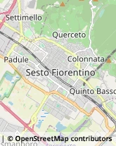 Via Pietro Nenni, 33/2,50019Sesto Fiorentino