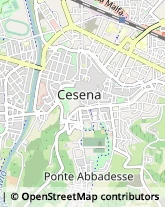 Piazza Aguselli, 42,47023Cesena