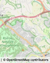 Viale Cortina D'Ampezzo, 99,00135Roma