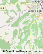 Località Badia a Elmi, 23,53037San Gimignano