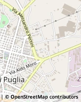 Via Senatore Iannuzzi Onofrio, 13,70037Ruvo di Puglia