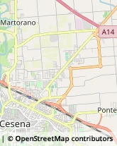 Articoli per Fumatori,47522Forlì-Cesena