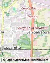 Salotti,20831Monza e Brianza