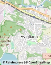 Corso Torino, 126,10051Avigliana