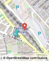 Palestre e Centri Fitness,65124Pescara