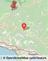 Località Laccio, 210,16029Torriglia